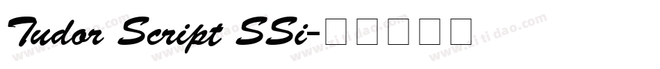 Tudor Script SSi字体转换